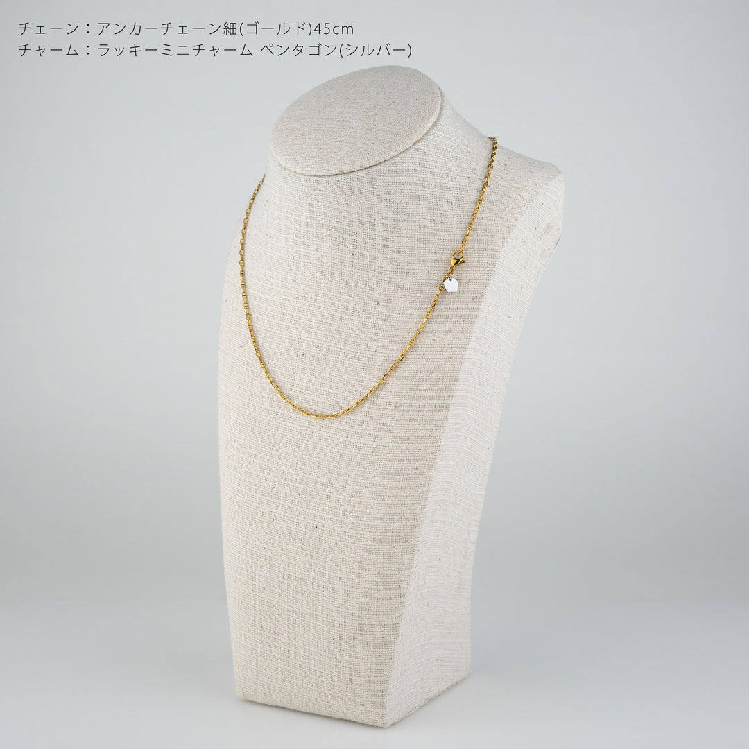 アンカーチェーン細（ゴールド）45cmとラッキーミニチャームペンタゴン（シルバー）