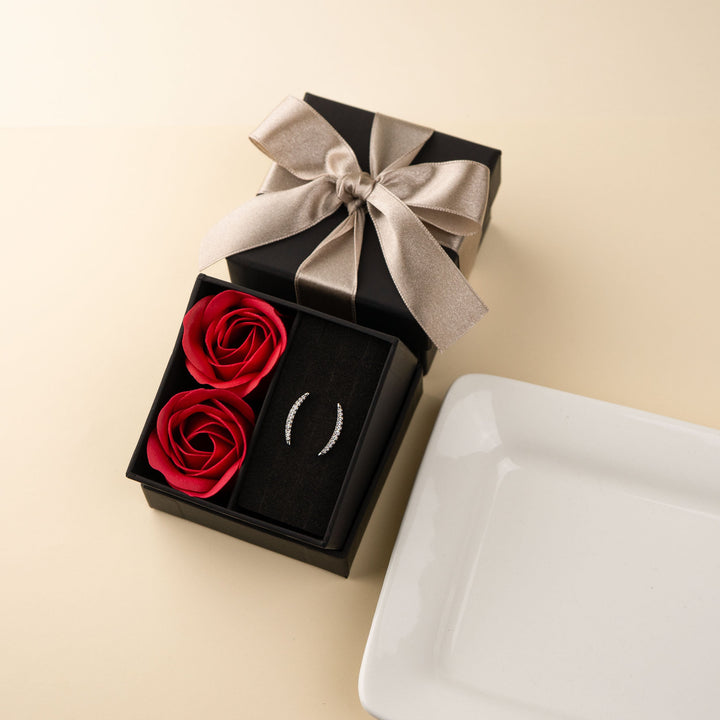 [送料無料] Alavel キュービックジルコニア ルナアーク ピアス PUPS141