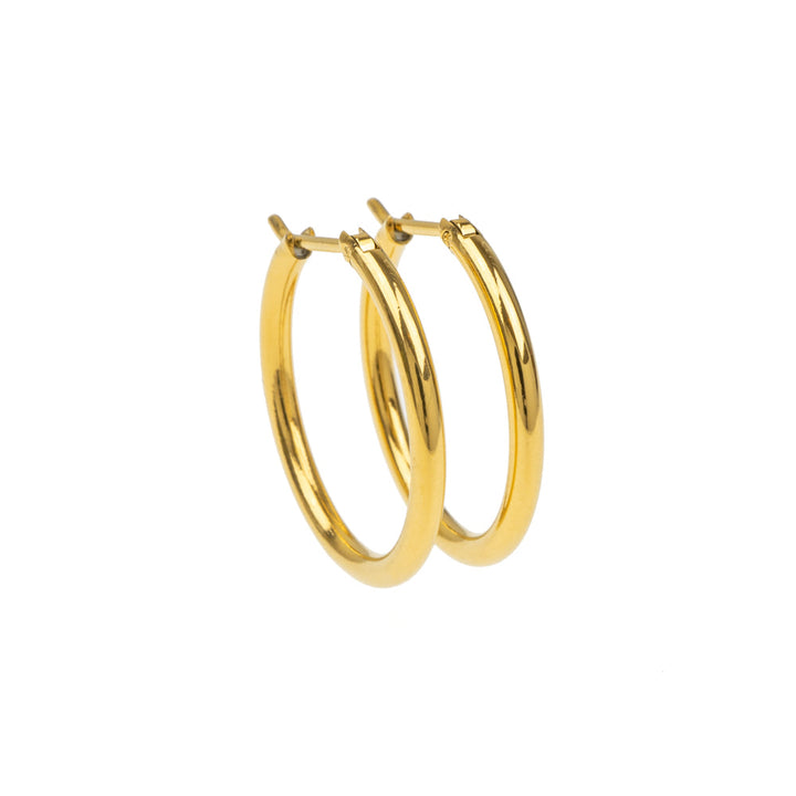 [送料無料] Alavel フープピアス ラウンド Lサイズ 両耳用 PUPS013