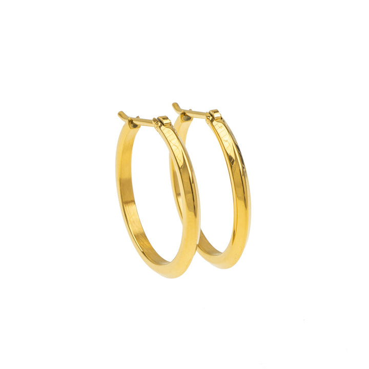 [送料無料] Alavel フープピアス カット Lサイズ 両耳用 PUPS014