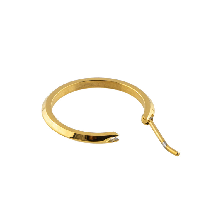 [送料無料] Alavel フープピアス カット Lサイズ 両耳用 PUPS014